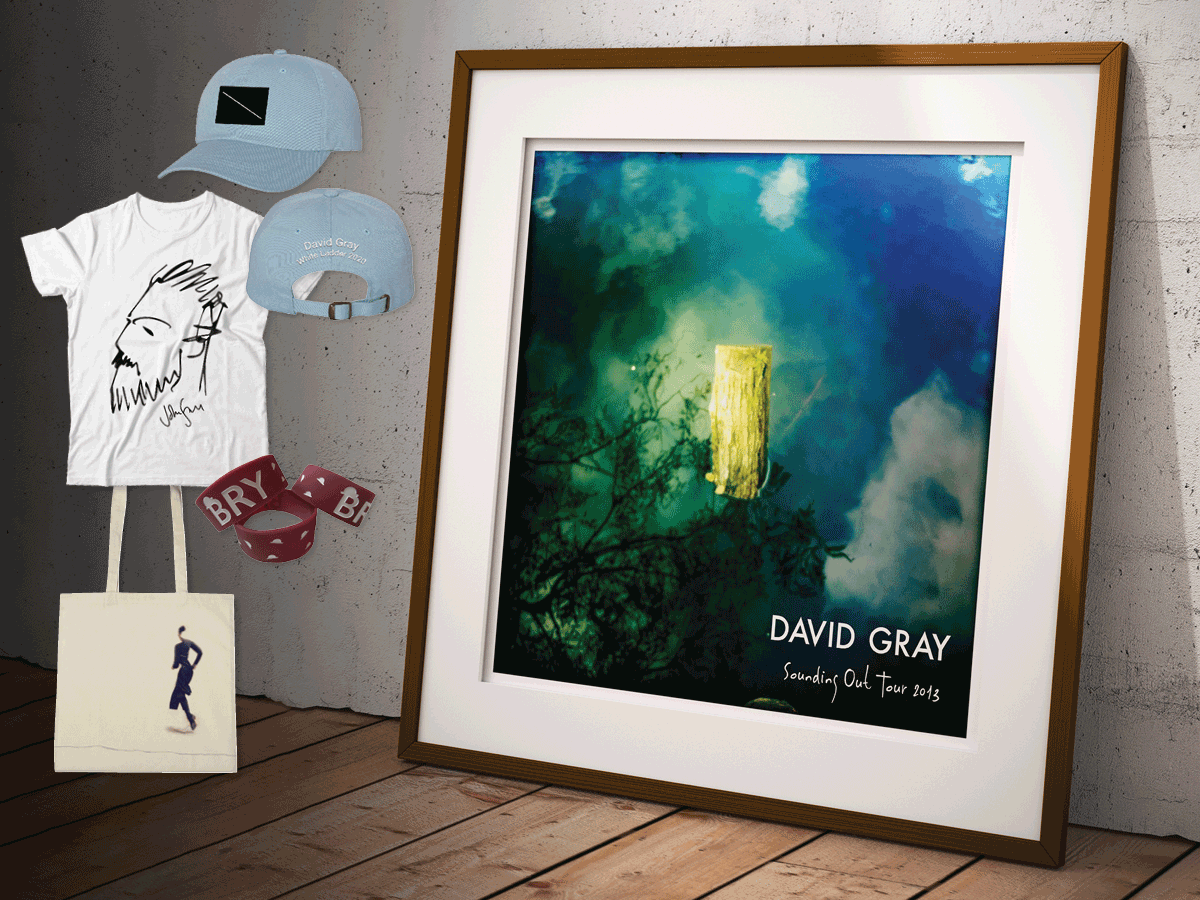 David Gray, Lisa Hannigan, Bry, and John Smith merch items